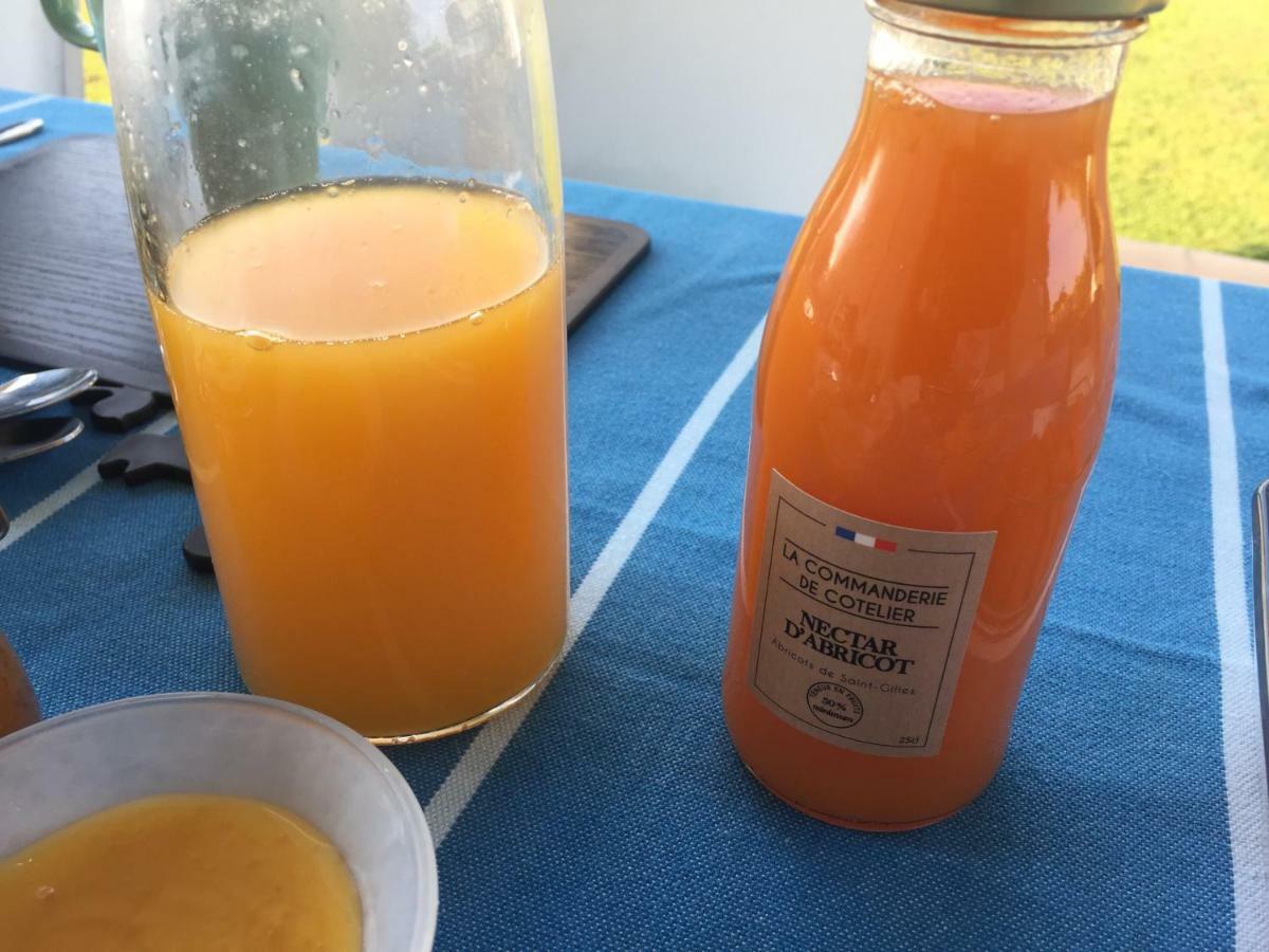 Mas Roubel Lejlighed Saint-Gilles  Eksteriør billede